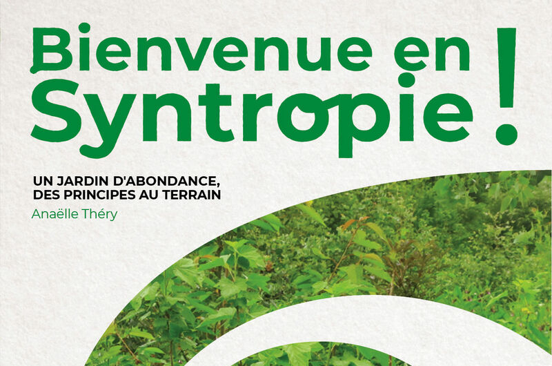 actualite jardin syntropique
