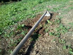 corylusnettoyage32024