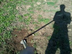 corylusnettoyage42024