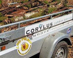 corylusevacuation2024